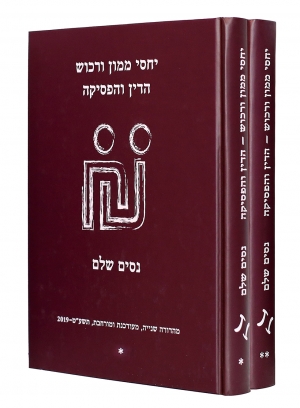 יחסי ממון ורכוש: הדין והפסיקה
